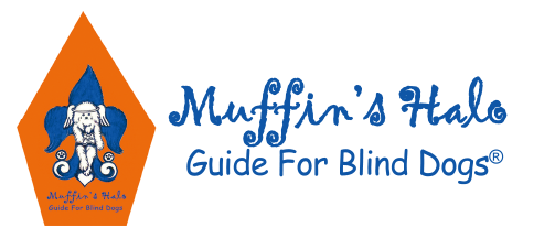 Muffin's Halo Guide For Blind Dogs